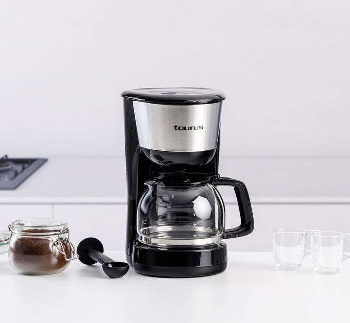 Actual product image Taurus VERONA 12 INOX