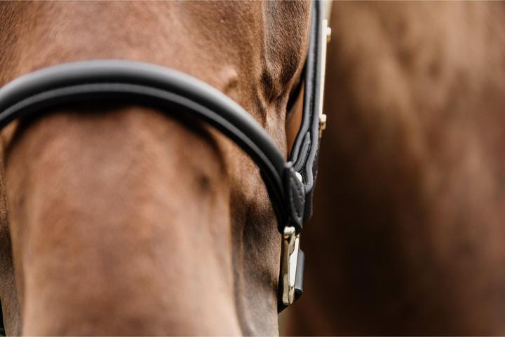 Immagine prodotto Kentucky Horsewear Copricapo per cavezza anatomica in cuoio