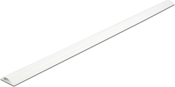 Delock Kabelkanal (Kabelkanal, 100 cm)