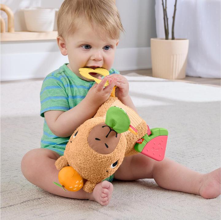 Productafbeelding Fisher-Price Kuschel-Capybara (24.10 cm)