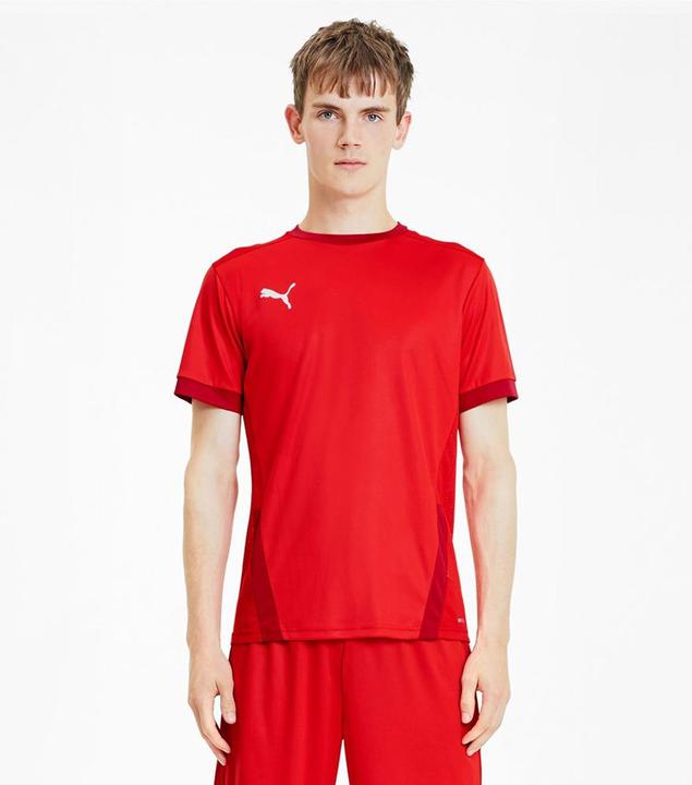 Actual product image Puma teamGOAL 23 Jersey-704171 (L)