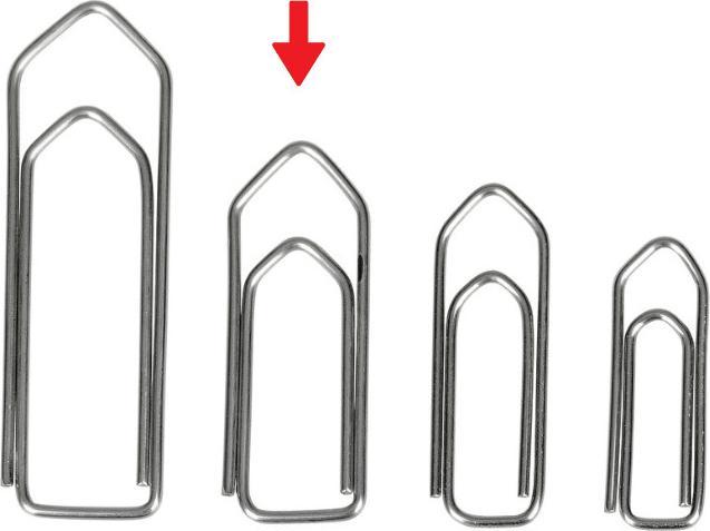 Actual product image Omega Paper clips (750 x)