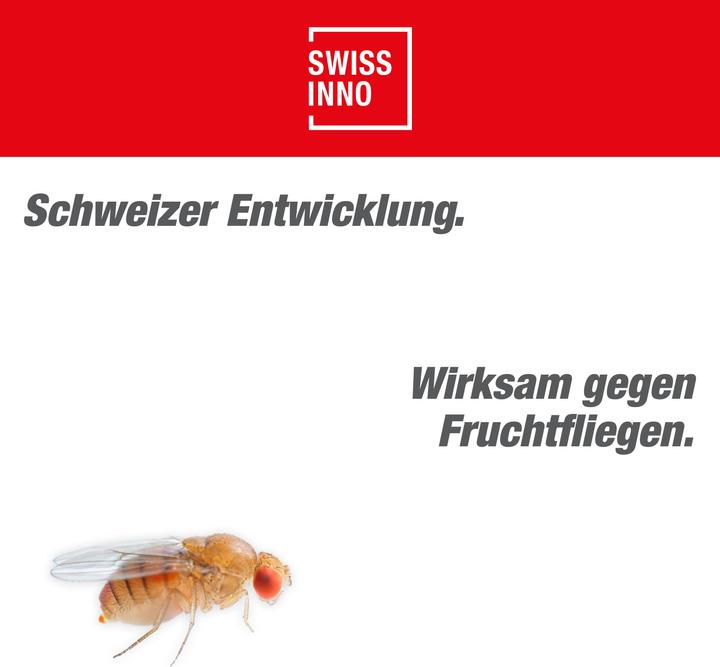 Actual product image Swissinno Fruchtfliegenfalle mit Lebensmittelköder 1er