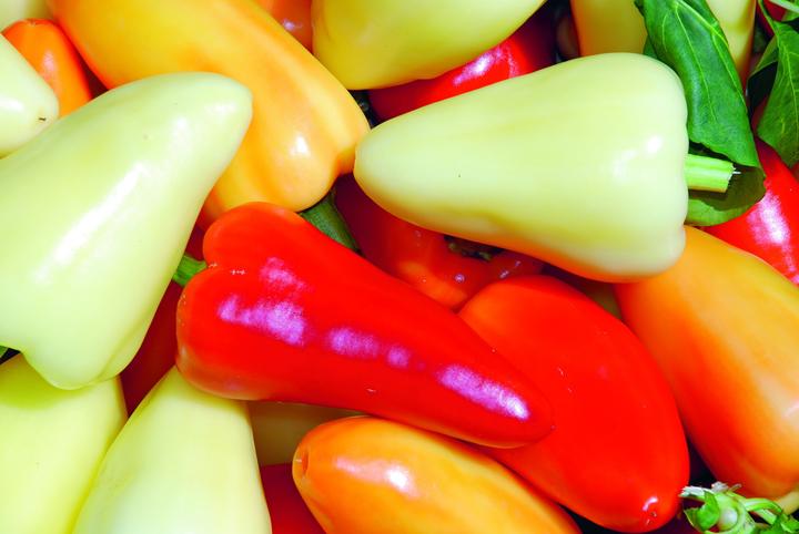 Productafbeelding Zollinger Bio Chili, Babura (Somborcka) (Kiemen)