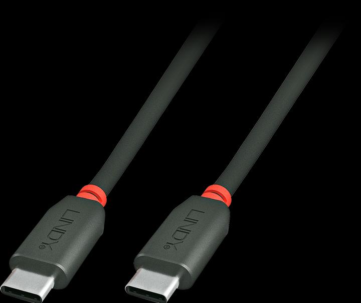 Image du produit Lindy Type C (3 m, USB 2.0)