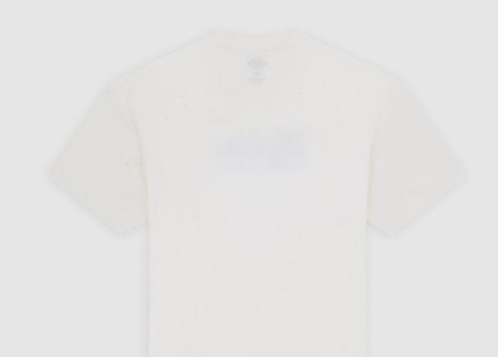 Actual product image Dickies Williston Tee SS (M)