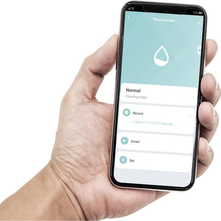 Image du produit Sygonix SY-6515316 Funk-Wassermelder mit App-Steuerung batteriebetrieben