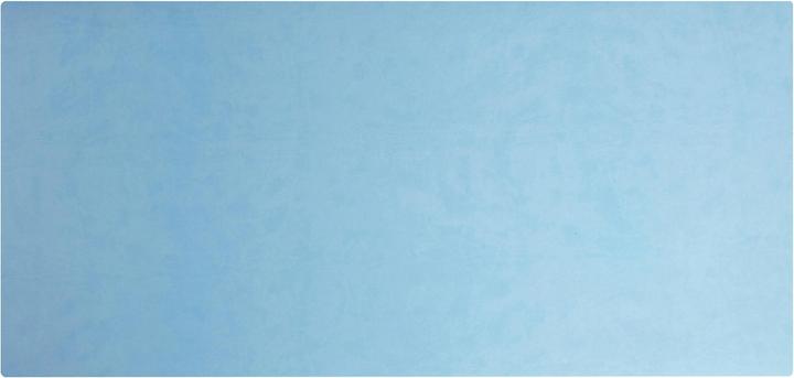 Actual product image Exacompta BEEBLUE - Desk pad (40 x 80 cm)