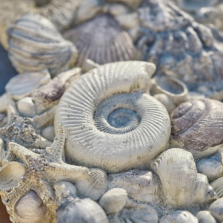 Produktbild Loberon Deko-Muscheln Potnarvin grau/blau/lila