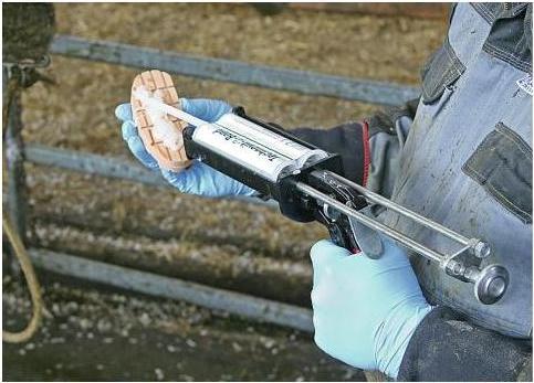 Actual product image Kerbl Technovit-2-Bond Set, for 10 application.,without dispensing gun