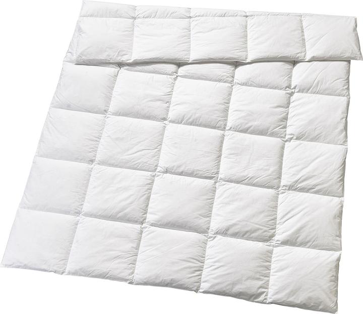 Image du produit Billerbeck Edition Elwine moyen (750 g, 160 x 210 cm)