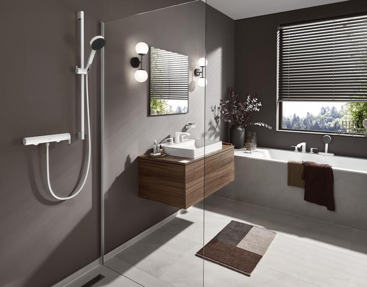 Produktbild hansgrohe AddStoris Seifenhalter, Wandmontage, mattweiss