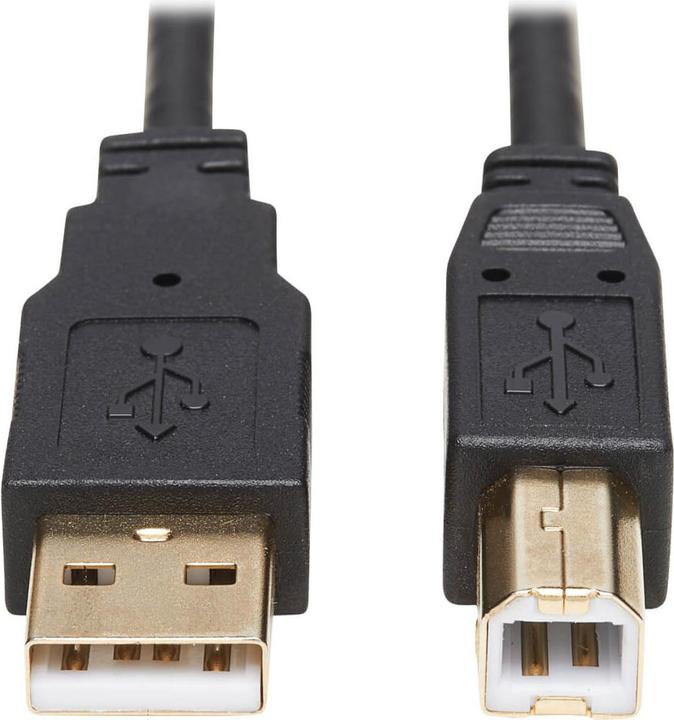 Immagine prodotto Eaton Kit cavo KVM HDMI - 4K HDMI USB 2.0 3.5mm Audio M/M Nero 10 ft. 3.05m