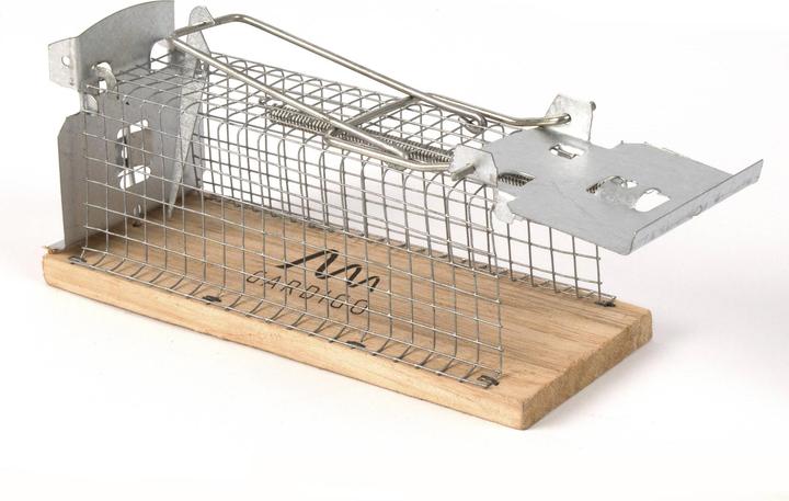 Animal trap