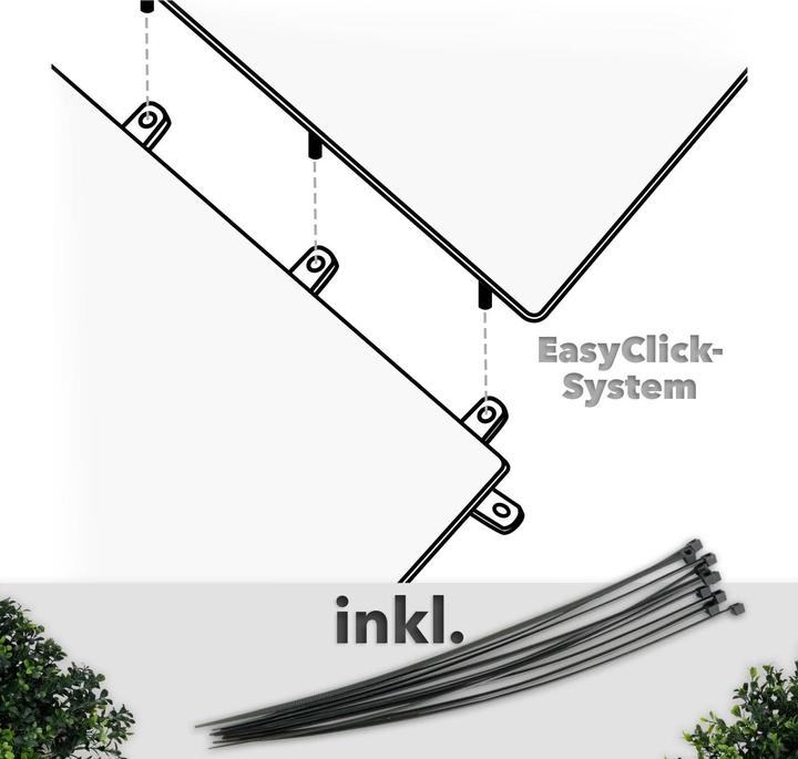Image du produit Karat Mur de plantes Boxwood (50 cm)