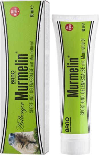 Murmelin Sport- und Gelenkssalbe Salbe (1 x, 60 ml)