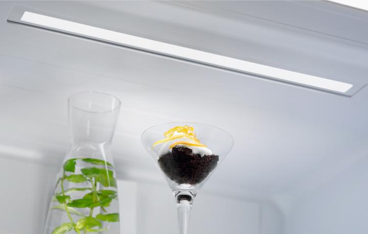 Immagine prodotto Electrolux SB481NMS (481 l)