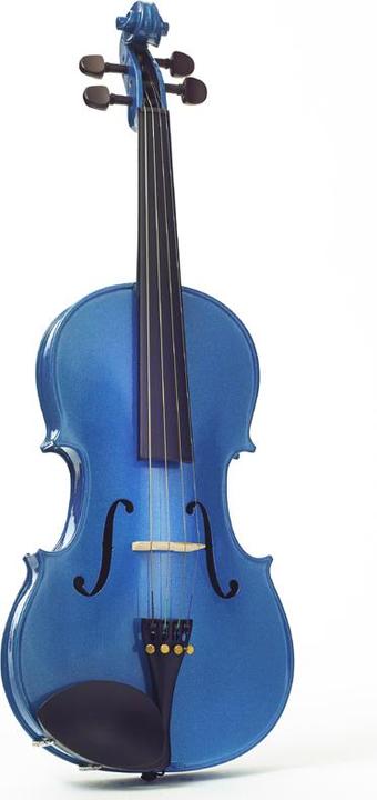 Stentor harlequin (Viola, 3/4)
