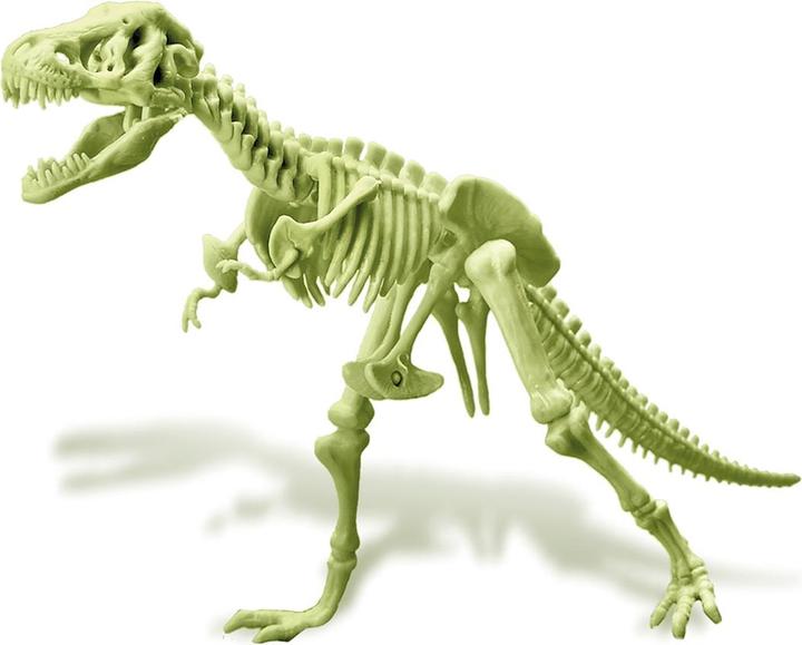 Produktbild 4M Leuchtendes T-Rex Skelett (Deutsch, Französisch, Englisch)