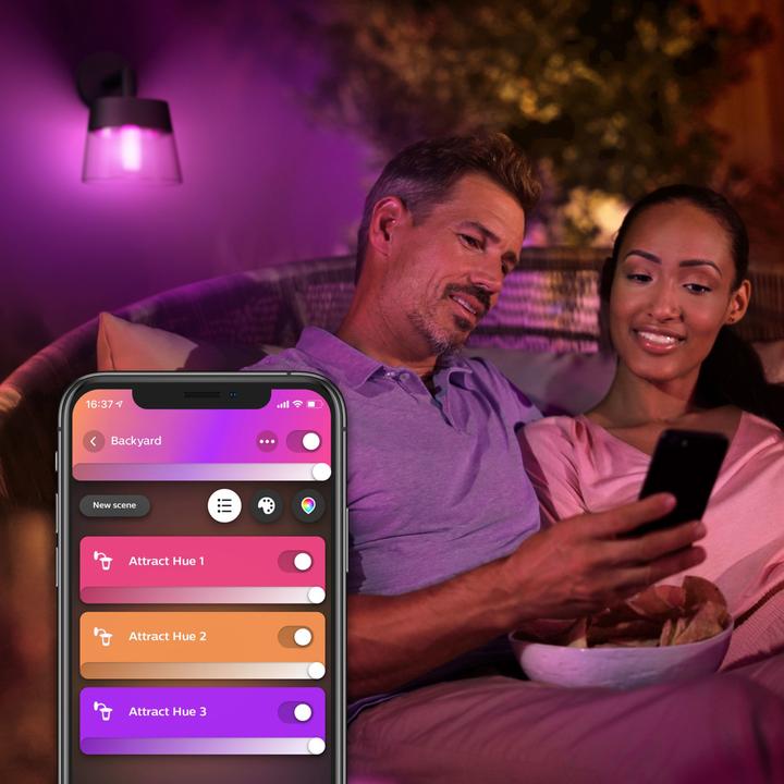 Image du produit Philips Hue Base d'attraction de la teinte (600 lm)