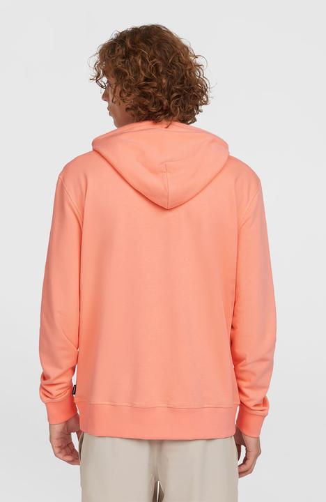 Immagine prodotto O'Neill Logo Hoodie (XL)