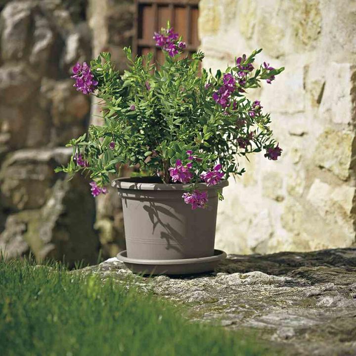 Productafbeelding Euro3plast Plantenbak (25 cm)