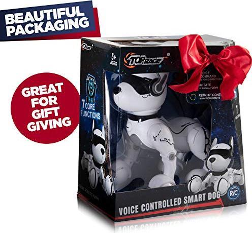 Actual product image Top Race Robot dog
