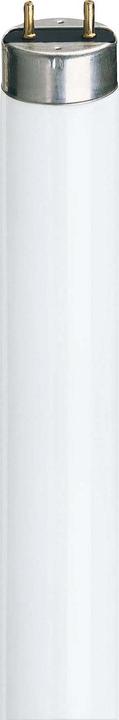 Immagine prodotto Philips Master TL-D Super (G13, 18 W, 1350 lm, 1 x, G)