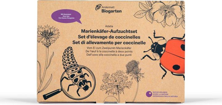 Produktbild Andermatt Biogarten Leimfallen