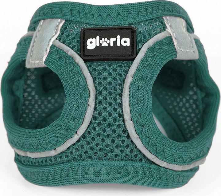 Produktbild Gloria Hundegeschirr Air Mesh Trek Star Einstellbar Turquoise (18-20 cm) (Hund, Hundesport)