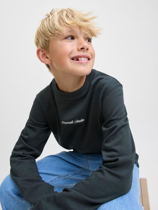 Actual product image Jack & Jones Jornorrebro Emb Sweat Crew Noos Jnr (128)