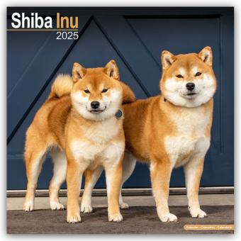 Immagine prodotto Shiba Inu 2025 (305 x 305 mm, Tedesco)