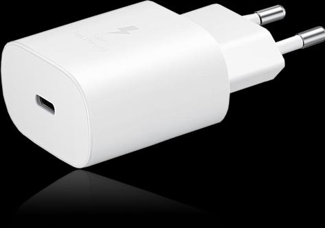 Immagine prodotto Samsung EP-TA800 (25 W)