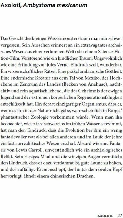 Produktbild Die ewige Jugend des Axolotls (Andrés Cota Hiriart, Deutsch)