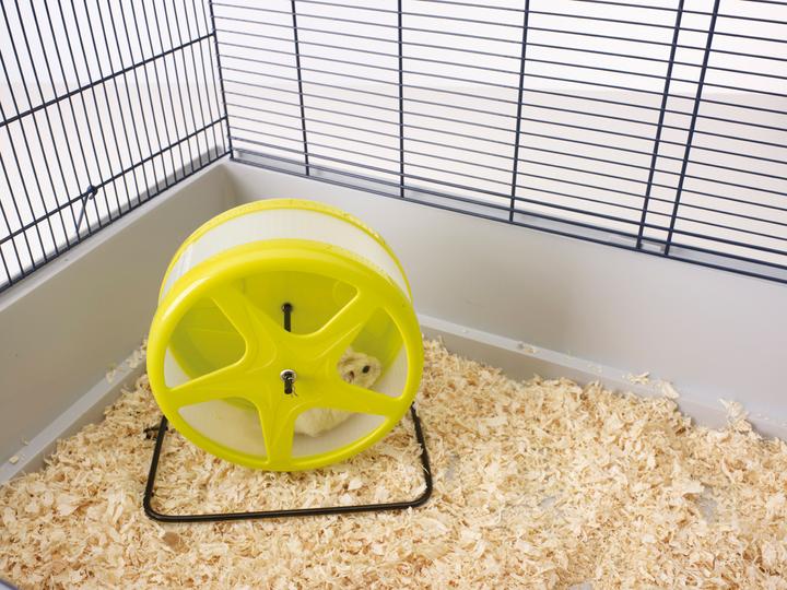 Savic Rodent wheel ORBITAL