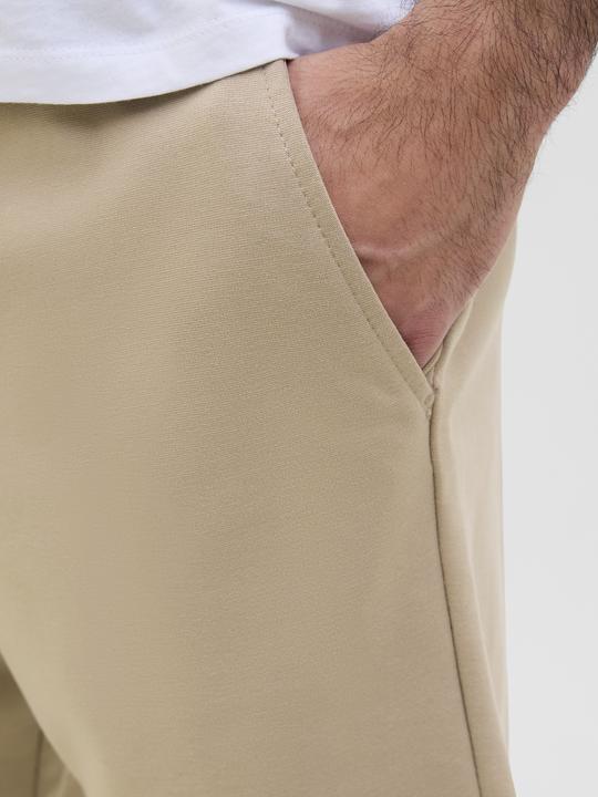 Actual product image Jack & Jones Regular Fit Slim Fit Shorts Slim Fit Shorts (L)