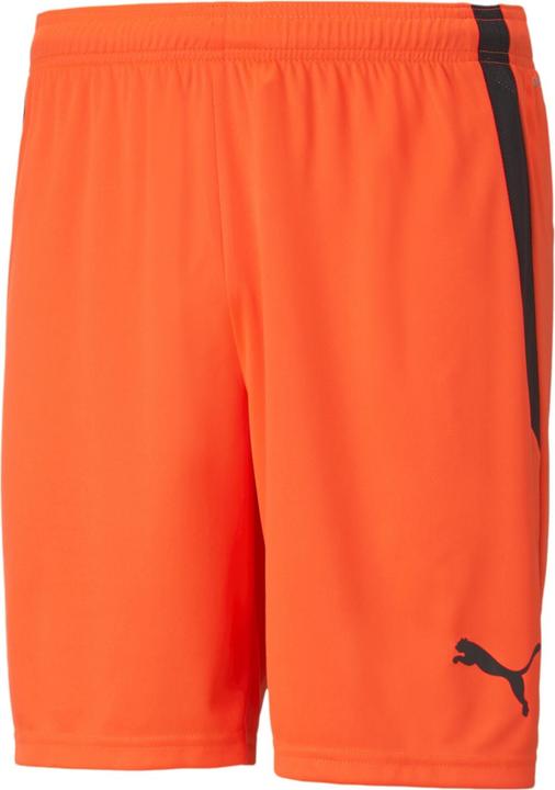 Produktbild Puma teamLIGA Shorts-704924 (60)