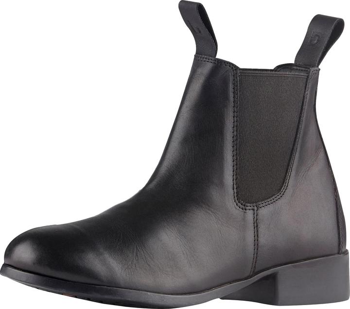 Dublin LederJodhpurstiefel Elevation II (43)