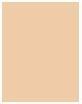 Immagine prodotto Revlon Colorstay (200 nudo)