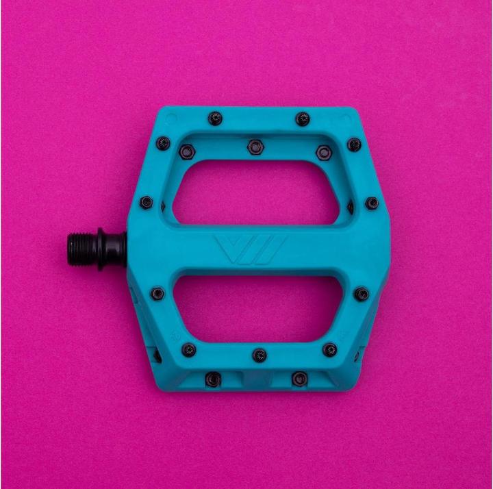 Actual product image DMR V11
