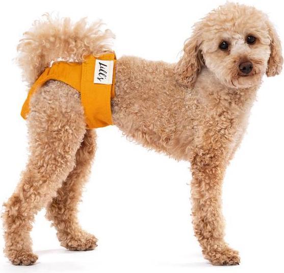 Produktbild Lill's Läufigkeitshöschen aus Bio-Baumwolle Lou (Hund)
