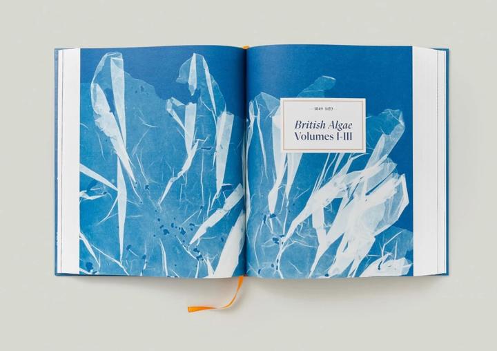 Produktbild Anna Atkins. Cyanotypes (Englisch, Französisch, Deutsch, Walther, Peter, 2023)