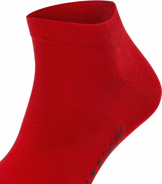 Actual product image Falke Cool 24/7 (Single pack, 43 - 44)
