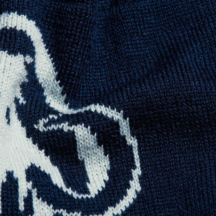 Produktbild Mammut Logo Beanie (One Size)