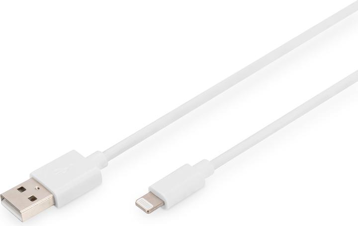 Produktbild Digitus DB-600106-010-W (1 m, USB 2.0)