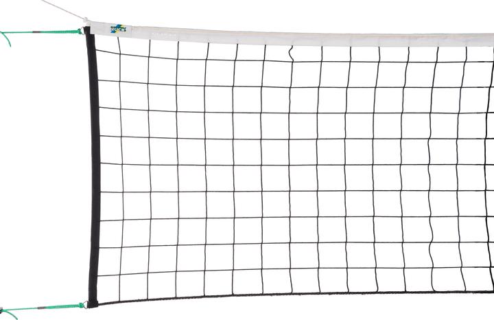 Actual product image Sport-Thieme Volleyball Tournament Network DVV