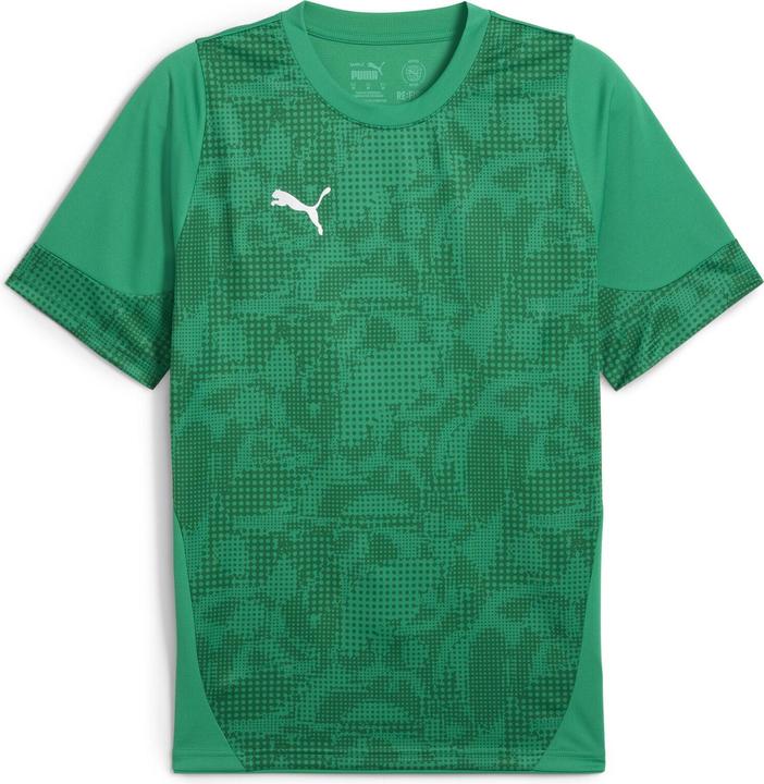Puma teamCUP Training Jersey