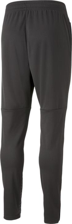 Actual product image Puma teamCUP Training Pants (XS)