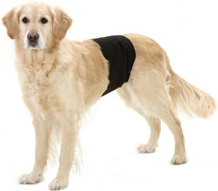 Produktbild Karlie Gentleman Wraps Plus (S, Hundeoverall)