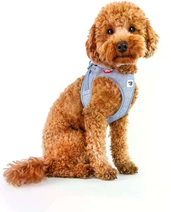 Image du produit Curli Harnais Vest Air-Mesh L SE24, Bleu Élémentaire (L, Chien, Général)